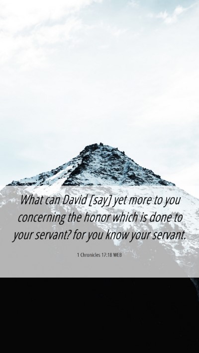 Picture 06 - 1 Chronicles 17:18 WEB Mobile Phone Wallpaper - What can David [say] yet more to you concerning - Mobile Bible Verse Wallpaper
