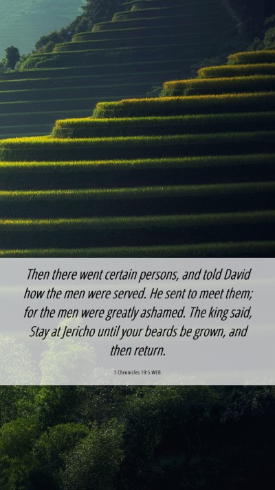 Picture 06 - 1 Chronicles 19:5 WEB Mobile Phone Wallpaper - Then there went certain persons, and told David - Mobile Bible Verse Wallpaper