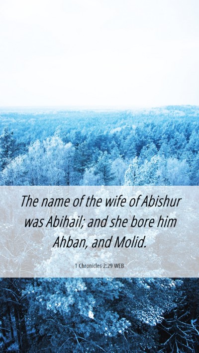 Picture 06 - 1 Chronicles 2:29 WEB Mobile Phone Wallpaper - The name of the wife of Abishur was Abihail; and - Mobile Bible Verse Wallpaper