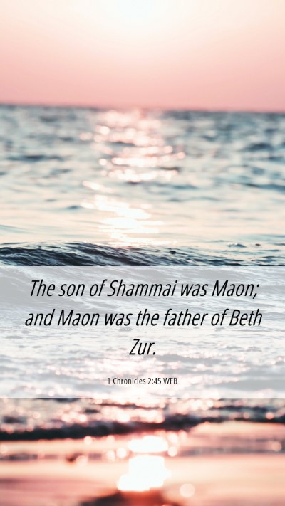 Picture 06 - 1 Chronicles 2:45 WEB Mobile Phone Wallpaper - The son of Shammai was Maon; and Maon was the - Mobile Bible Verse Wallpaper