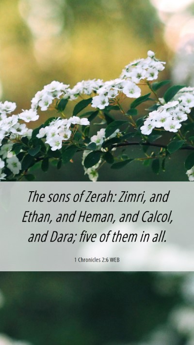 Picture 06 - 1 Chronicles 2:6 WEB Mobile Phone Wallpaper - The sons of Zerah: Zimri, and Ethan, and Heman, - Mobile Bible Verse Wallpaper