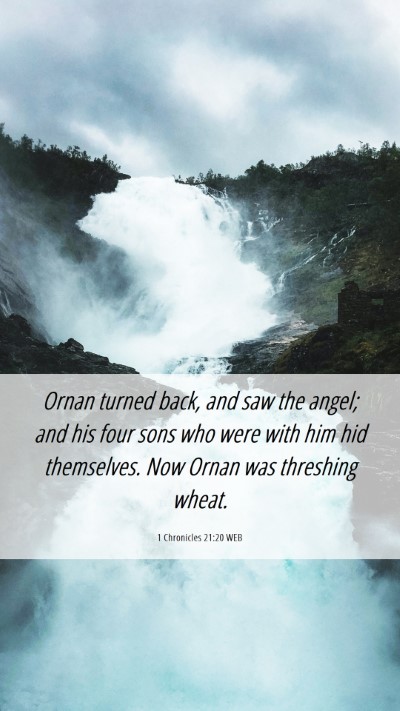 Picture 06 - 1 Chronicles 21:20 WEB Mobile Phone Wallpaper - Ornan turned back, and saw the angel; and his - Mobile Bible Verse Wallpaper