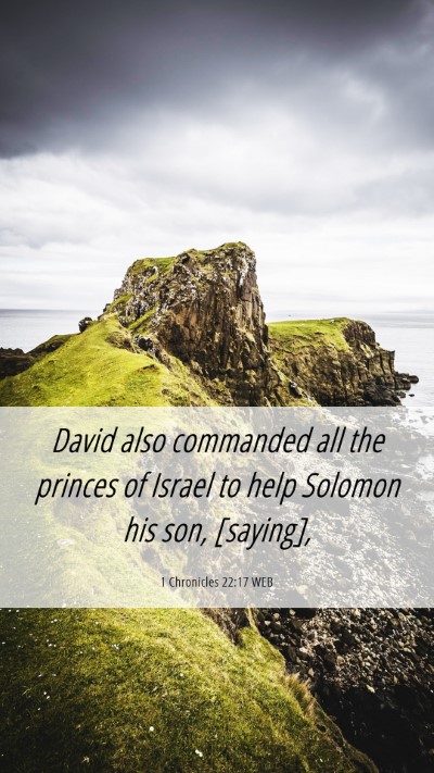 Picture 06 - 1 Chronicles 22:17 WEB Mobile Phone Wallpaper - David also commanded all the princes of Israel to - Mobile Bible Verse Wallpaper