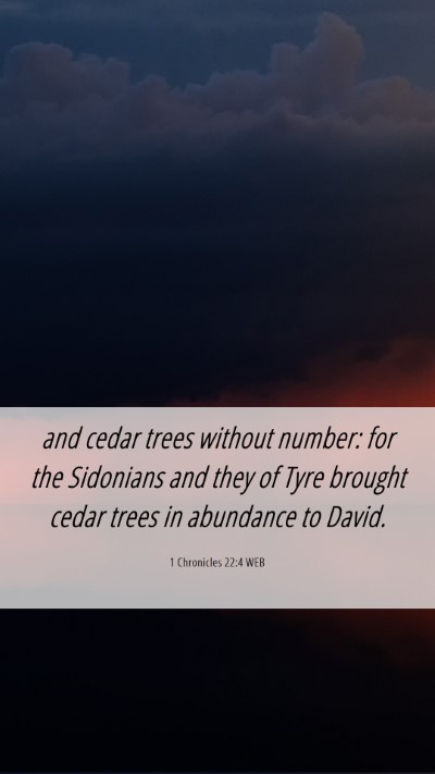 Picture 06 - 1 Chronicles 22:4 WEB Mobile Phone Wallpaper - and cedar trees without number: for the Sidonians - Mobile Bible Verse Wallpaper