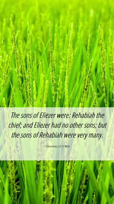 Picture 06 - 1 Chronicles 23:17 WEB Mobile Phone Wallpaper - The sons of Eliezer were: Rehabiah the chief; and - Mobile Bible Verse Wallpaper