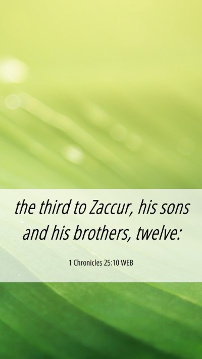 Picture 06 - 1 Chronicles 25:10 WEB Mobile Phone Wallpaper - the third to Zaccur, his sons and his brothers, - Mobile Bible Verse Wallpaper