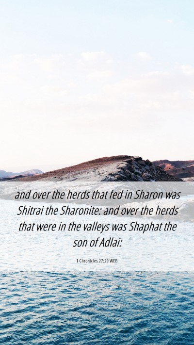 Picture 06 - 1 Chronicles 27:29 WEB Mobile Phone Wallpaper - and over the herds that fed in Sharon was Shitrai - Mobile Bible Verse Wallpaper