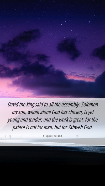 Picture 06 - 1 Chronicles 29:1 WEB Mobile Phone Wallpaper - David the king said to all the assembly, Solomon - Mobile Bible Verse Wallpaper
