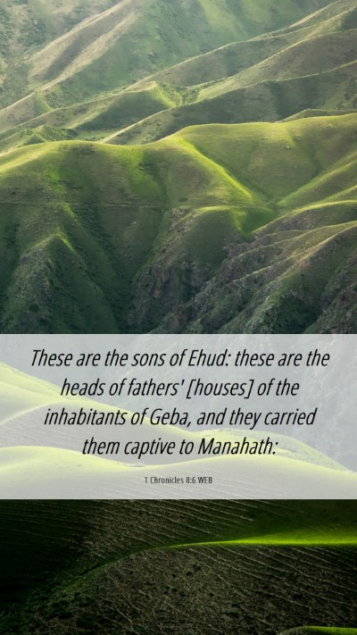 Picture 06 - 1 Chronicles 8:6 WEB Mobile Phone Wallpaper - These are the sons of Ehud: these are the heads - Mobile Bible Verse Wallpaper