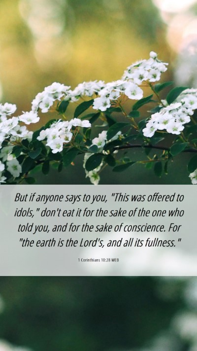 Picture 06 - 1 Corinthians 10:28 WEB Mobile Phone Wallpaper - But if anyone says to you, 
