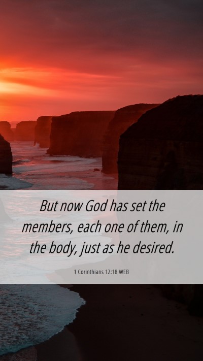 Picture 06 - 1 Corinthians 12:18 WEB Mobile Phone Wallpaper - But now God has set the members, each one of - Mobile Bible Verse Wallpaper