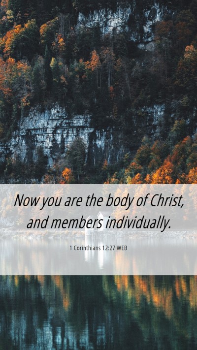 Picture 06 - 1 Corinthians 12:27 WEB Mobile Phone Wallpaper - Now you are the body of Christ, and members - Mobile Bible Verse Wallpaper