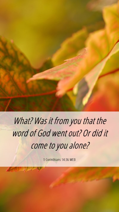 Picture 06 - 1 Corinthians 14:36 WEB Mobile Phone Wallpaper - What? Was it from you that the word of God went - Mobile Bible Verse Wallpaper