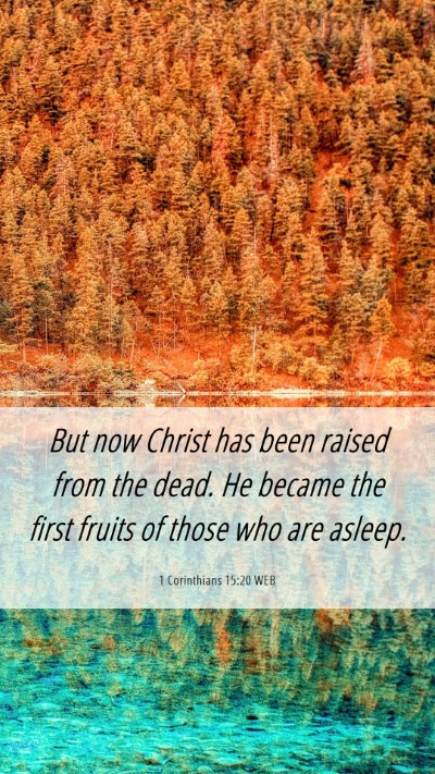 Picture 06 - 1 Corinthians 15:20 WEB Mobile Phone Wallpaper - But now Christ has been raised from the dead. He - Mobile Bible Verse Wallpaper