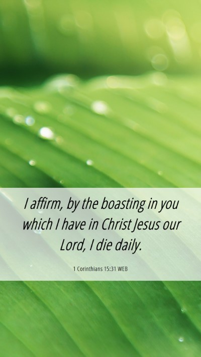 Picture 06 - 1 Corinthians 15:31 WEB Mobile Phone Wallpaper - I affirm, by the boasting in you which I have in - Mobile Bible Verse Wallpaper