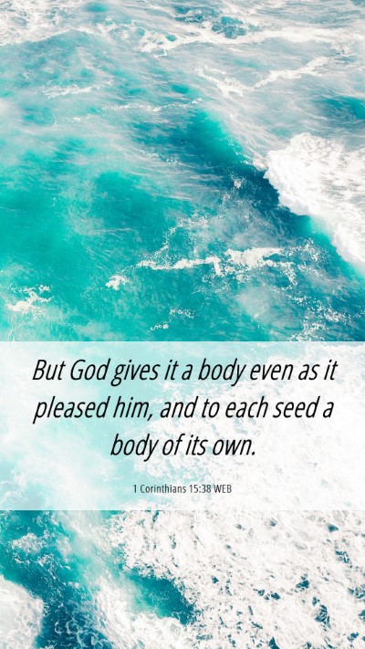 Picture 06 - 1 Corinthians 15:38 WEB Mobile Phone Wallpaper - But God gives it a body even as it pleased him, - Mobile Bible Verse Wallpaper