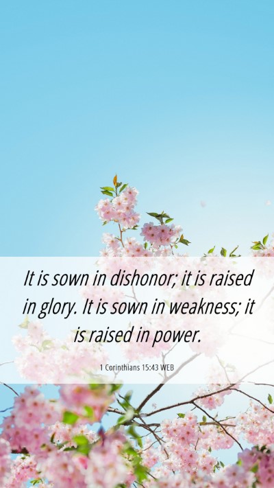 Picture 06 - 1 Corinthians 15:43 WEB Mobile Phone Wallpaper - It is sown in dishonor; it is raised in glory. It - Mobile Bible Verse Wallpaper
