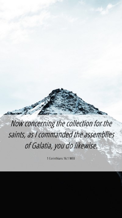 Picture 06 - 1 Corinthians 16:1 WEB Mobile Phone Wallpaper - Now concerning the collection for the saints, as - Mobile Bible Verse Wallpaper