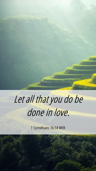 Picture 06 - 1 Corinthians 16:14 WEB Mobile Phone Wallpaper - Let all that you do be done in - Mobile Bible Verse Wallpaper