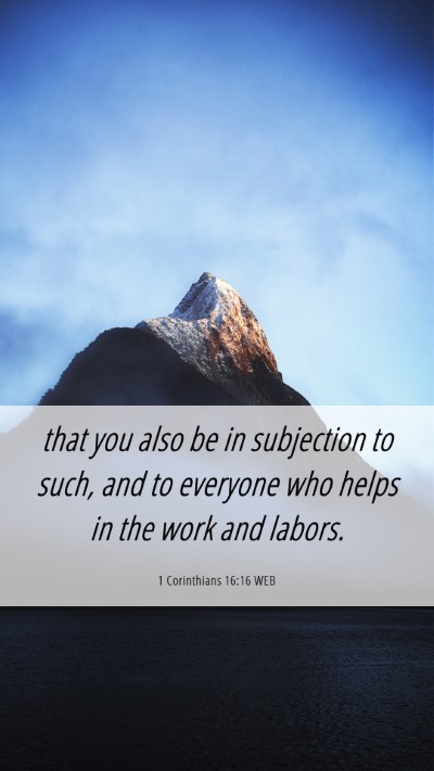 Picture 06 - 1 Corinthians 16:16 WEB Mobile Phone Wallpaper - that you also be in subjection to such, and to - Mobile Bible Verse Wallpaper