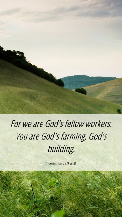 Picture 06 - 1 Corinthians 3:9 WEB Mobile Phone Wallpaper - For we are God's fellow workers. You are God's - Mobile Bible Verse Wallpaper