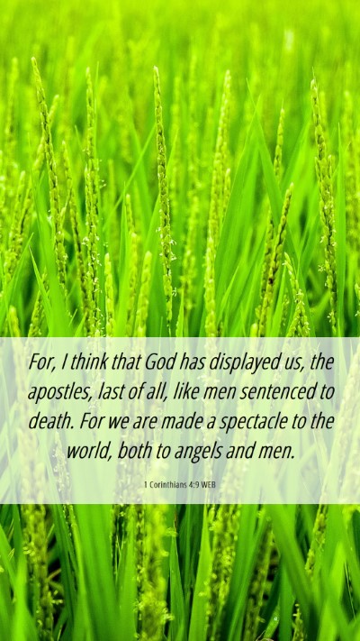 Picture 06 - 1 Corinthians 4:9 WEB Mobile Phone Wallpaper - For, I think that God has displayed us, the - Mobile Bible Verse Wallpaper