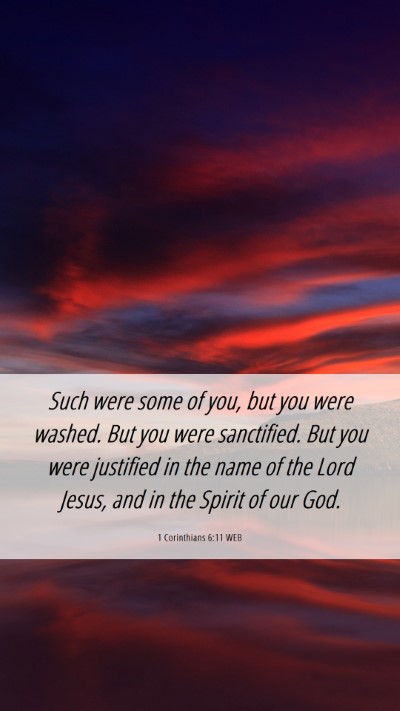 Picture 06 - 1 Corinthians 6:11 WEB Mobile Phone Wallpaper - Such were some of you, but you were washed. But - Mobile Bible Verse Wallpaper