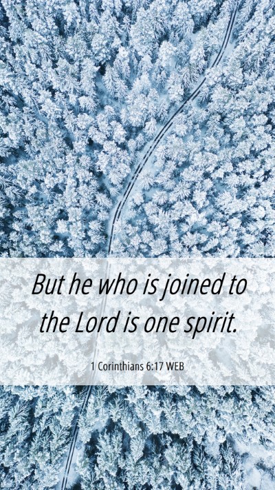 Picture 06 - 1 Corinthians 6:17 WEB Mobile Phone Wallpaper - But he who is joined to the Lord is one - Mobile Bible Verse Wallpaper