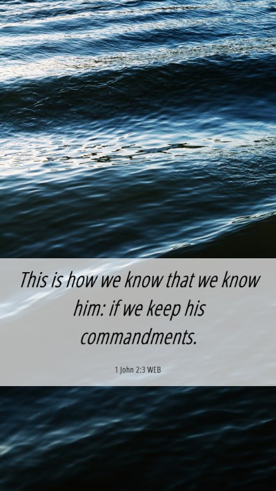Picture 06 - 1 John 2:3 WEB Mobile Phone Wallpaper - This is how we know that we know him: if we keep - Mobile Bible Verse Wallpaper