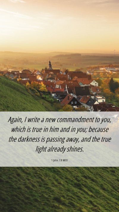 Picture 06 - 1 John 2:8 WEB Mobile Phone Wallpaper - Again, I write a new commandment to you, which is - Mobile Bible Verse Wallpaper