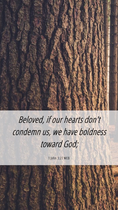 Picture 06 - 1 John 3:21 WEB Mobile Phone Wallpaper - Beloved, if our hearts don't condemn us, we have - Mobile Bible Verse Wallpaper