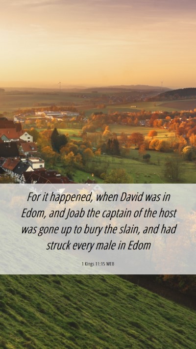 Picture 06 - 1 Kings 11:15 WEB Mobile Phone Wallpaper - For it happened, when David was in Edom, and Joab - Mobile Bible Verse Wallpaper