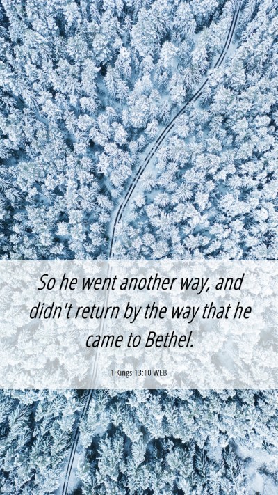 Picture 06 - 1 Kings 13:10 WEB Mobile Phone Wallpaper - So he went another way, and didn't return by the - Mobile Bible Verse Wallpaper