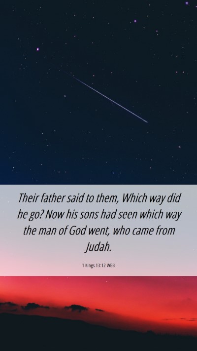 Picture 06 - 1 Kings 13:12 WEB Mobile Phone Wallpaper - Their father said to them, Which way did he go? - Mobile Bible Verse Wallpaper