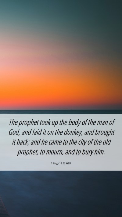 Picture 06 - 1 Kings 13:29 WEB Mobile Phone Wallpaper - The prophet took up the body of the man of God, - Mobile Bible Verse Wallpaper