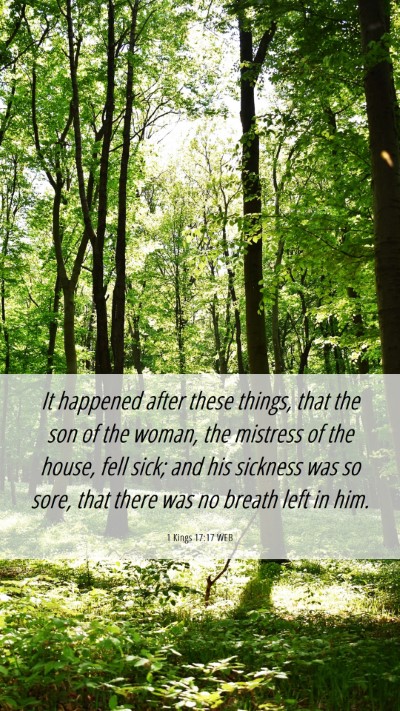 Picture 06 - 1 Kings 17:17 WEB Mobile Phone Wallpaper - It happened after these things, that the son of - Mobile Bible Verse Wallpaper