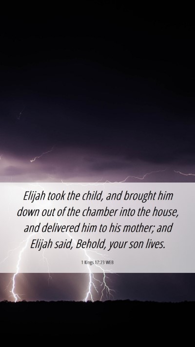 Picture 06 - 1 Kings 17:23 WEB Mobile Phone Wallpaper - Elijah took the child, and brought him down out - Mobile Bible Verse Wallpaper