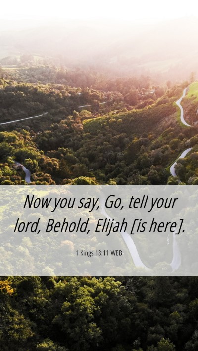 Picture 06 - 1 Kings 18:11 WEB Mobile Phone Wallpaper - Now you say, Go, tell your lord, Behold, Elijah - Mobile Bible Verse Wallpaper