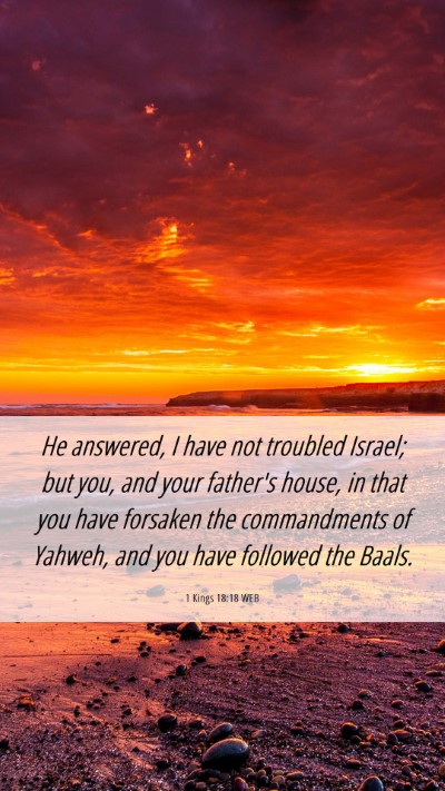 Picture 06 - 1 Kings 18:18 WEB Mobile Phone Wallpaper - He answered, I have not troubled Israel; but you, - Mobile Bible Verse Wallpaper