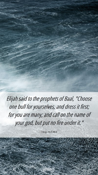 Picture 06 - 1 Kings 18:25 WEB Mobile Phone Wallpaper - Elijah said to the prophets of Baal, 