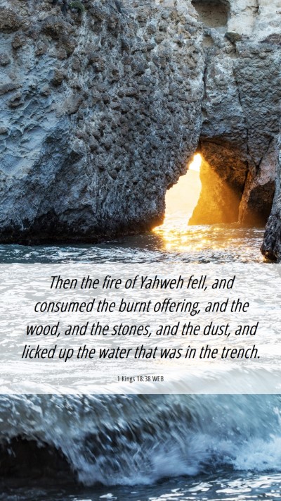 Picture 06 - 1 Kings 18:38 WEB Mobile Phone Wallpaper - Then the fire of Yahweh fell, and consumed the - Mobile Bible Verse Wallpaper