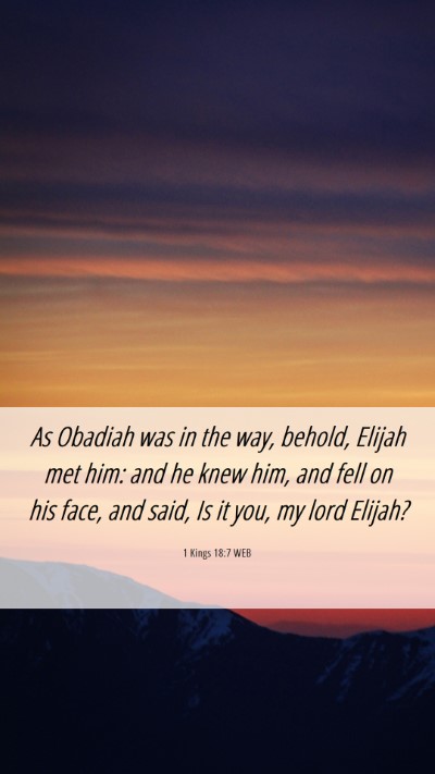 Picture 06 - 1 Kings 18:7 WEB Mobile Phone Wallpaper - As Obadiah was in the way, behold, Elijah met - Mobile Bible Verse Wallpaper