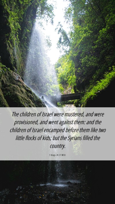 Picture 06 - 1 Kings 20:27 WEB Mobile Phone Wallpaper - The children of Israel were mustered, and were - Mobile Bible Verse Wallpaper
