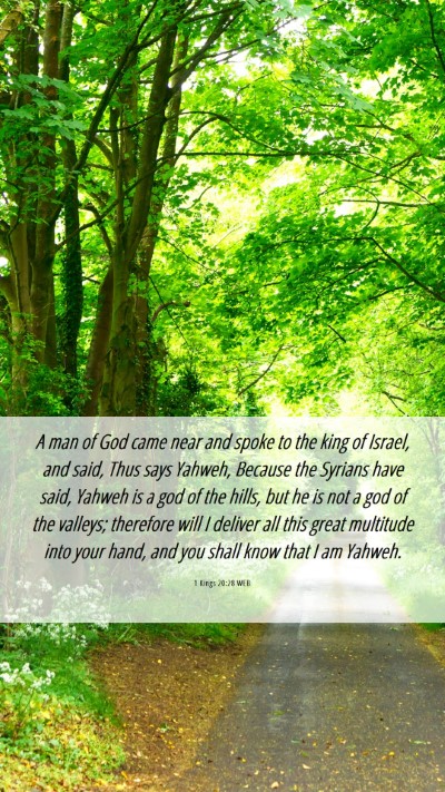 Picture 06 - 1 Kings 20:28 WEB Mobile Phone Wallpaper - A man of God came near and spoke to the king of - Mobile Bible Verse Wallpaper