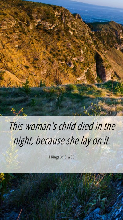Picture 06 - 1 Kings 3:19 WEB Mobile Phone Wallpaper - This woman's child died in the night, because she - Mobile Bible Verse Wallpaper