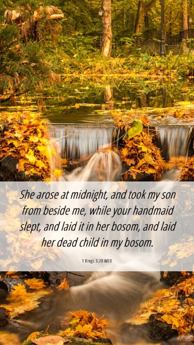 Picture 06 - 1 Kings 3:20 WEB Mobile Phone Wallpaper - She arose at midnight, and took my son from - Mobile Bible Verse Wallpaper