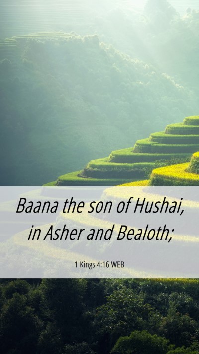 Picture 06 - 1 Kings 4:16 WEB Mobile Phone Wallpaper - Baana the son of Hushai, in Asher and - Mobile Bible Verse Wallpaper