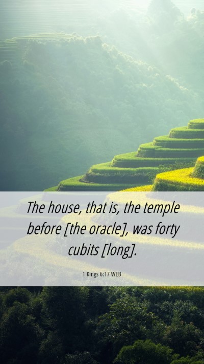 Picture 06 - 1 Kings 6:17 WEB Mobile Phone Wallpaper - The house, that is, the temple before [the - Mobile Bible Verse Wallpaper