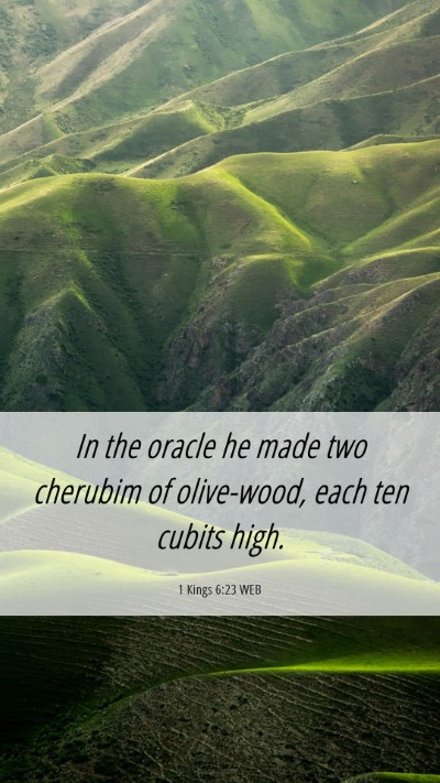 Picture 06 - 1 Kings 6:23 WEB Mobile Phone Wallpaper - In the oracle he made two cherubim of olive-wood, - Mobile Bible Verse Wallpaper