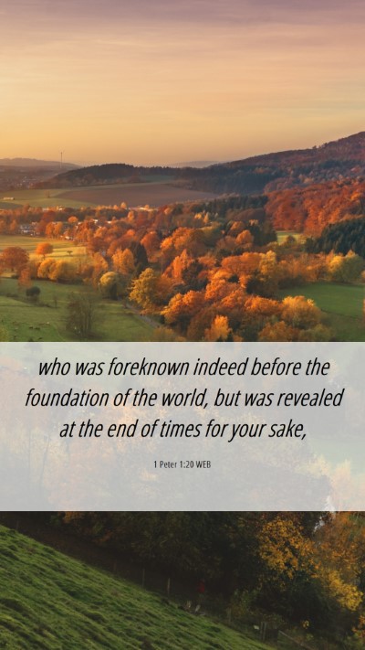Picture 06 - 1 Peter 1:20 WEB Mobile Phone Wallpaper - who was foreknown indeed before the foundation of - Mobile Bible Verse Wallpaper